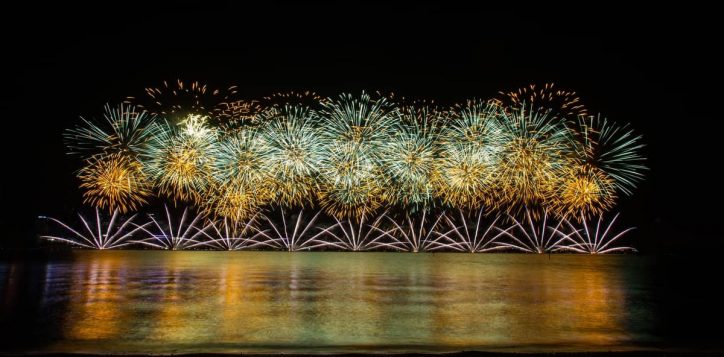 firework-new-year-2-2