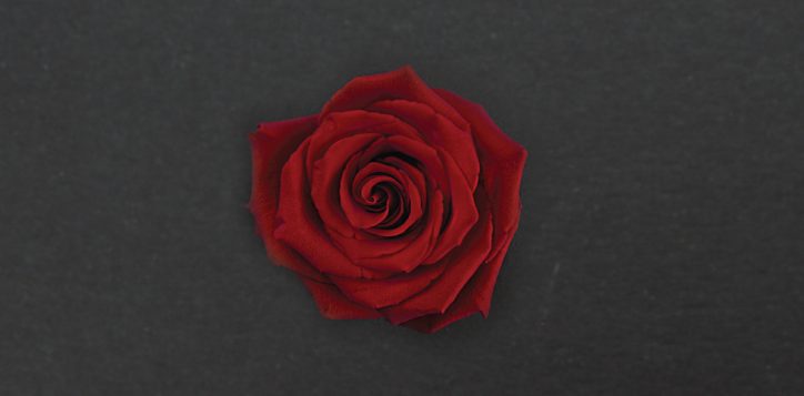 social-media-posts-valentine-web