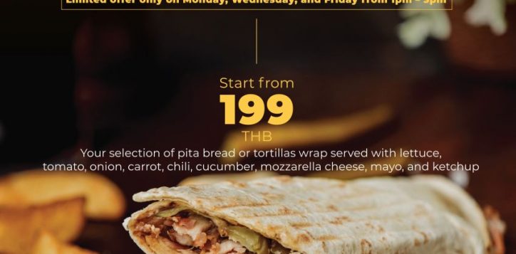 chicken-shawarma-kebab-2