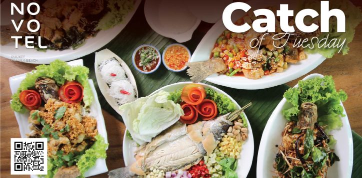 catch-of-tuesday1920x1005-2