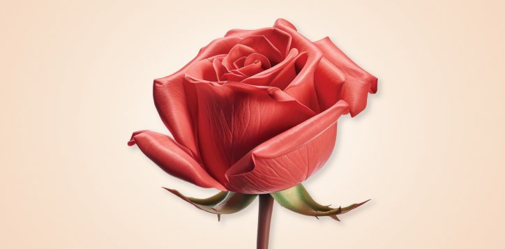 valentine-day-2024-website1-2