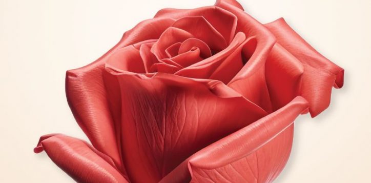 valentine-day-2024-website_resize-1-2