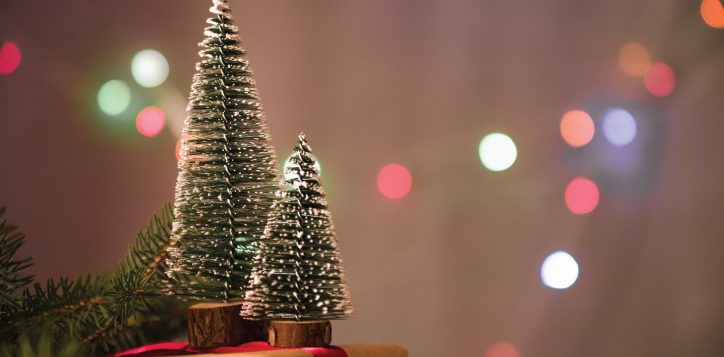 festive-season-_-microsite-01-2