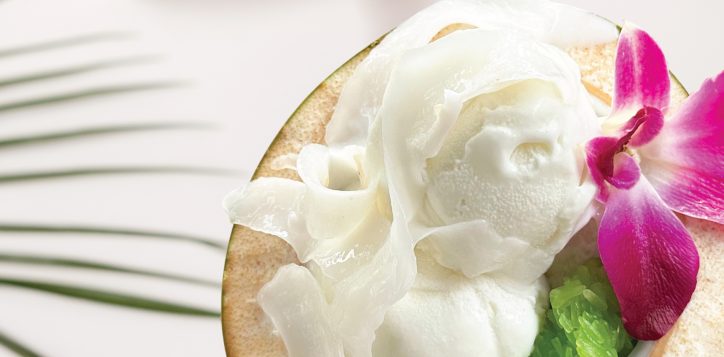 coconut-ice-cream-microsite-2