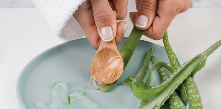 aloe-vera-massage-01-2