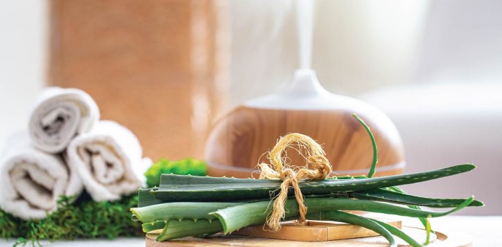 aloe-vera-massage-02-2